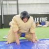 combat de sumo aubervilliers